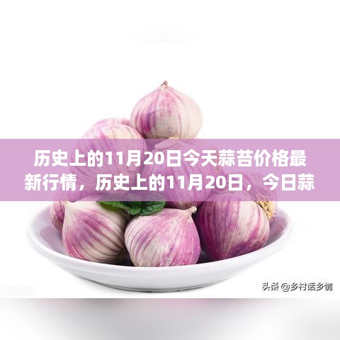 历史上的11月20日，今日蒜苔价格与自然美景之旅，探寻内心宁静与平和的旅程