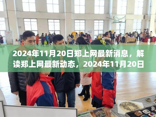 解读郑上网最新动态，2024年11月20日消息及其影响分析