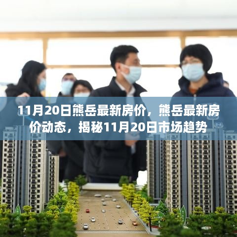 揭秘，熊岳最新房价动态及市场趋势（11月20日更新）