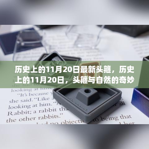 历史上的11月20日，头箍的诞生与自然奥秘的交汇时刻