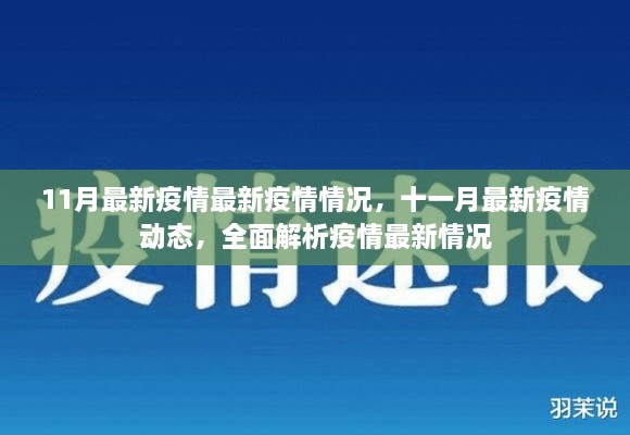 全面解析，最新疫情动态与十一月最新疫情情况