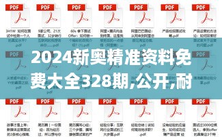 2024新奥精准资料免费大全328期,公开,耐心落实解释解答_JNO9.11