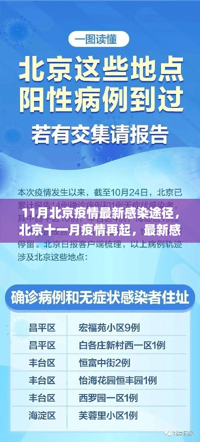 北京十一月疫情最新感染途径深度解析