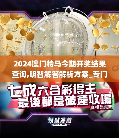 2024澳门特马今期开奖结果查询,明智解答解析方案_专门版VSM5.17