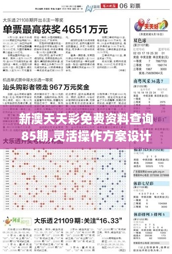 新澳天天彩免费资料查询85期,灵活操作方案设计_时尚版YNL5.46