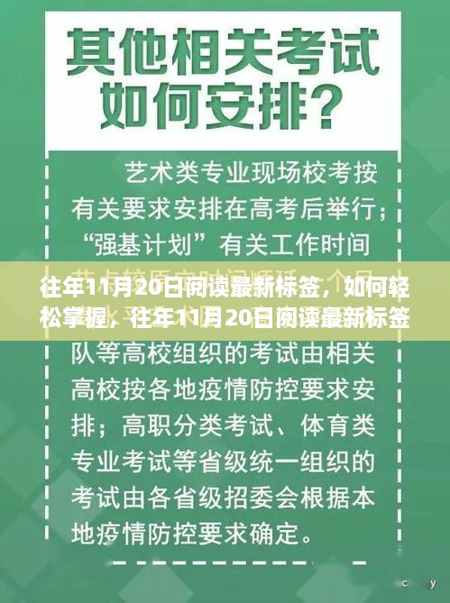 往年11月20日阅读最新标签的掌握方法与步骤指南