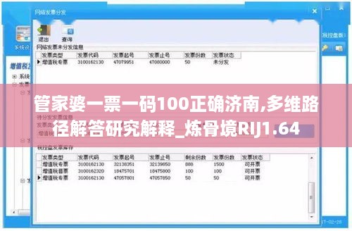 管家婆一票一码100正确济南,多维路径解答研究解释_炼骨境RIJ1.64