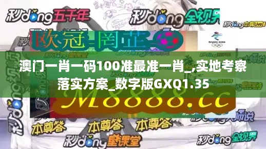 澳门一肖一码100准最准一肖_,实地考察落实方案_数字版GXQ1.35