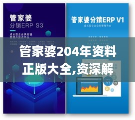 管家婆204年资料正版大全,资深解答解释落实_轻量版LJJ4.40