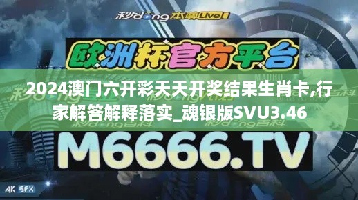 2024澳门六开彩天天开奖结果生肖卡,行家解答解释落实_魂银版SVU3.46