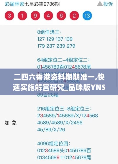 二四六香港资料期期准一,快速实施解答研究_品味版YNS9.64