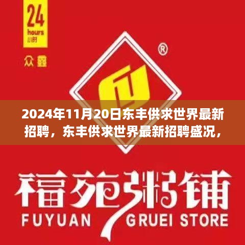 2024年11月20日东丰供求世界招聘盛况，行业变革与职业机遇的聚焦