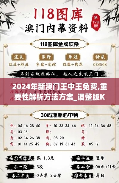 2024年新澳门王中王免费,重要性解析方法方案_调整版KJZ2.42