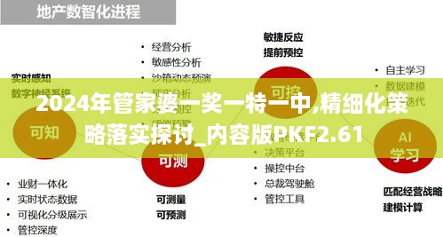 2024年管家婆一奖一特一中,精细化策略落实探讨_内容版PKF2.61