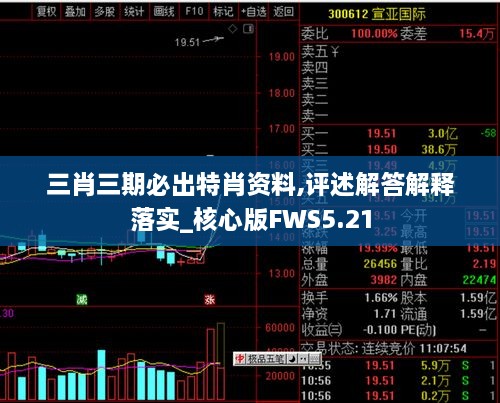 三肖三期必出特肖资料,评述解答解释落实_核心版FWS5.21