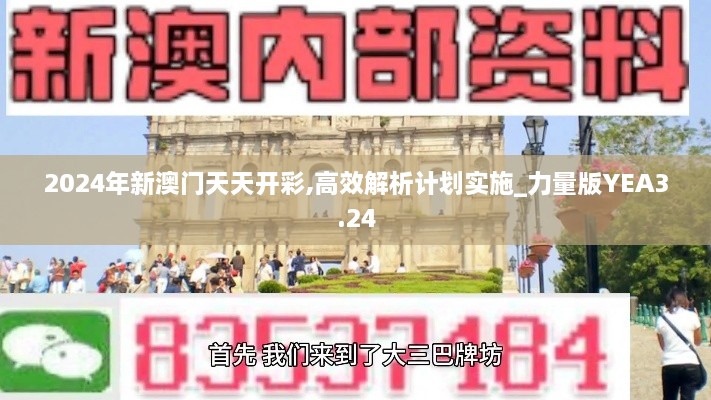 2024年新澳门天天开彩,高效解析计划实施_力量版YEA3.24