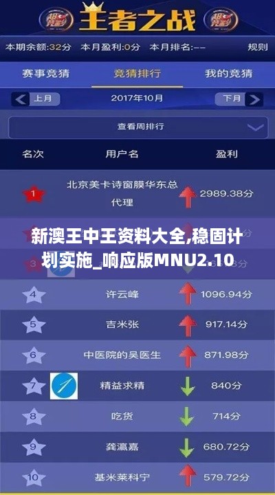 新澳王中王资料大全,稳固计划实施_响应版MNU2.10