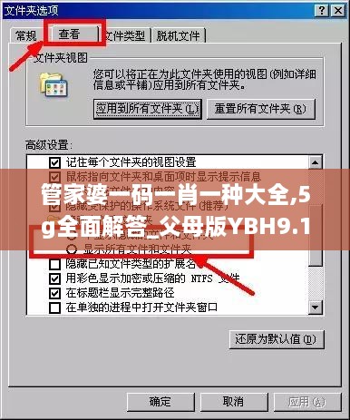 管家婆一码一肖一种大全,5g全面解答_父母版YBH9.17