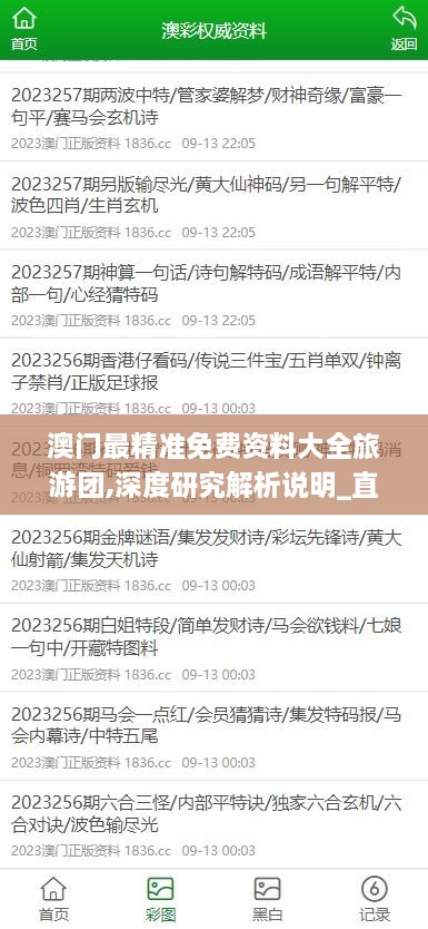 澳门最精准免费资料大全旅游团,深度研究解析说明_直观版FZI6.73