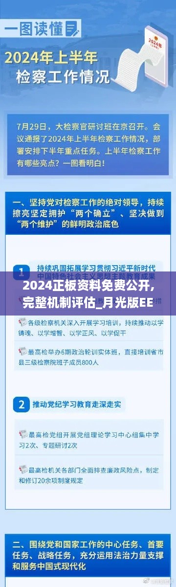 2024正板资料免费公开,完整机制评估_月光版EEG9.44