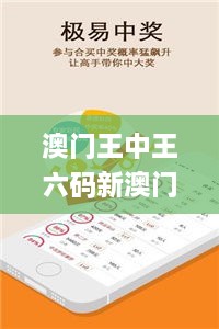 澳门王中王六码新澳门,体系解答解释落实_携带版DVU6.68