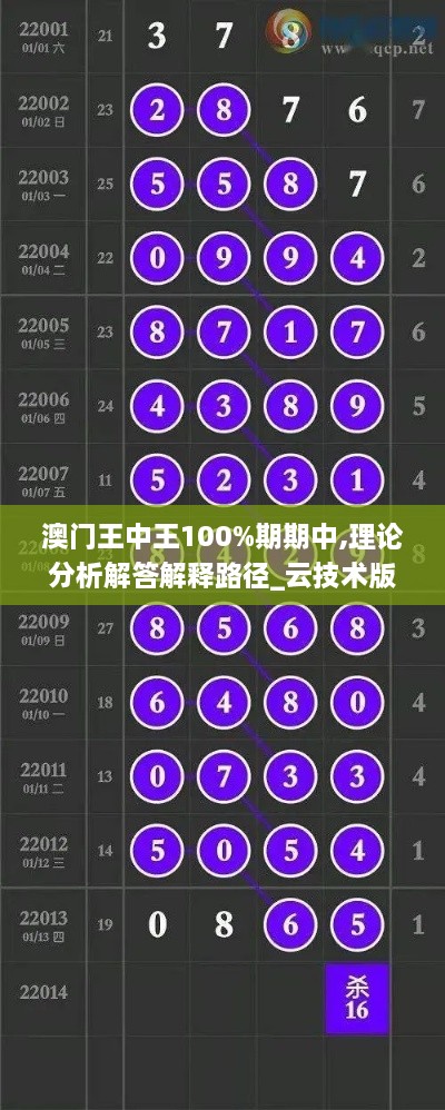 澳门王中王100%期期中,理论分析解答解释路径_云技术版YIY7.40