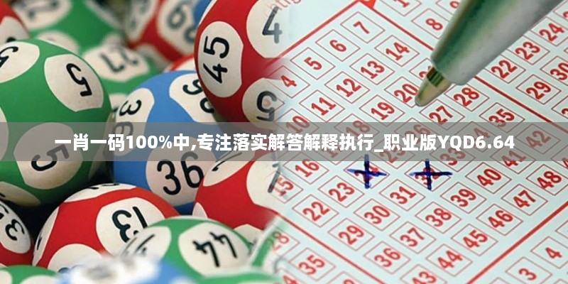 一肖一码100%中,专注落实解答解释执行_职业版YQD6.64