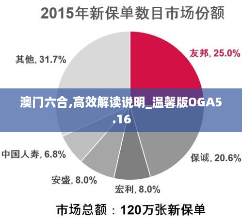 澳门六合,高效解读说明_温馨版OGA5.16