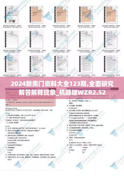 2024新奥门资料大全123期,全面研究解答解释现象_机器版WZR2.52