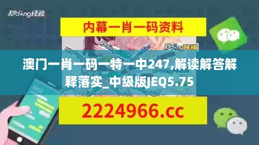 澳门一肖一码一特一中247,解读解答解释落实_中级版JEQ5.75