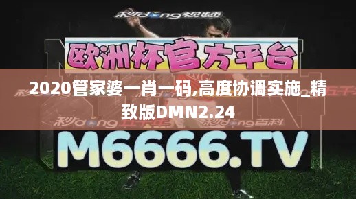 2020管家婆一肖一码,高度协调实施_精致版DMN2.24