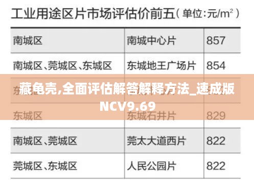 藏龟壳,全面评估解答解释方法_速成版NCV9.69