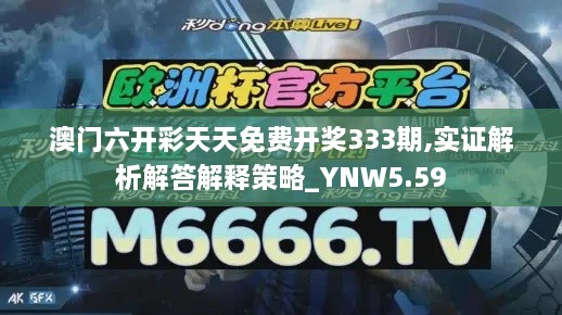 澳门六开彩天天免费开奖333期,实证解析解答解释策略_YNW5.59