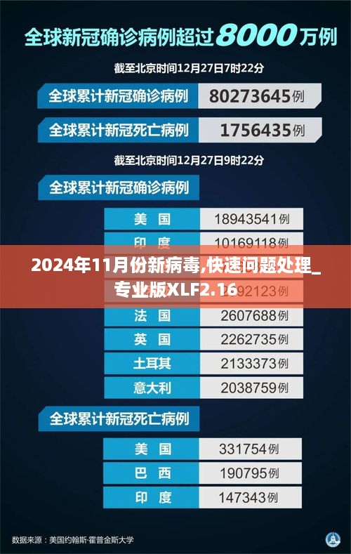 2024年11月份新病毒,快速问题处理_专业版XLF2.16