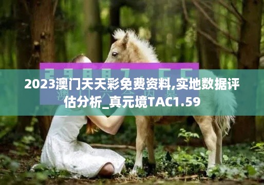 2023澳门天天彩免费资料,实地数据评估分析_真元境TAC1.59