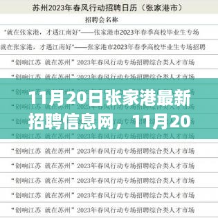 11月20日张家港最新招聘信息网全面介绍与评测