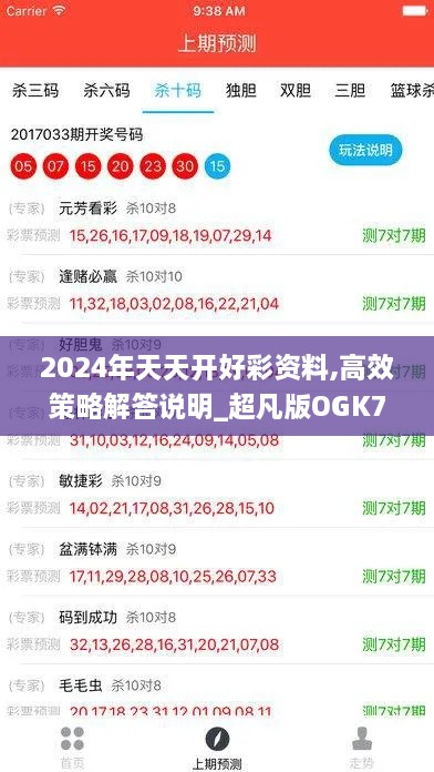 2024年天天开好彩资料,高效策略解答说明_超凡版OGK7.79