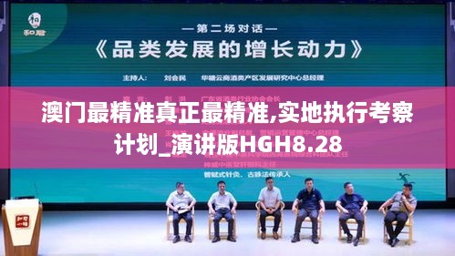 澳门最精准真正最精准,实地执行考察计划_演讲版HGH8.28