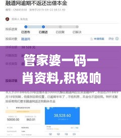 管家婆一码一肖资料,积极响应解答执行_效率版PXQ6.21