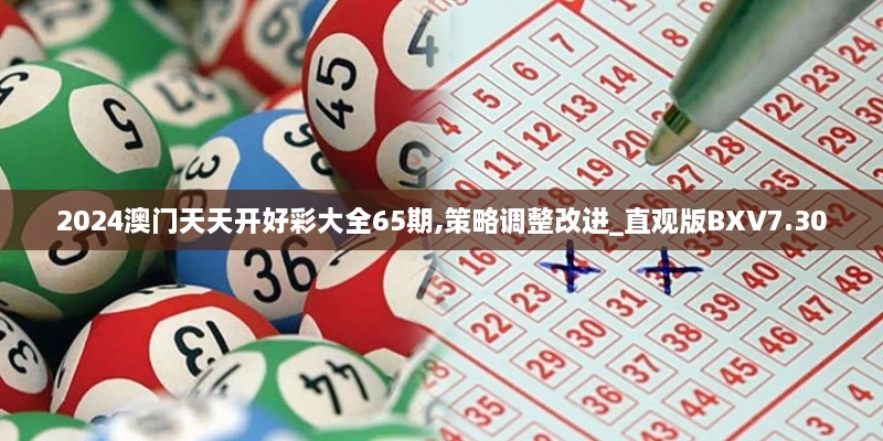 2024澳门天天开好彩大全65期,策略调整改进_直观版BXV7.30