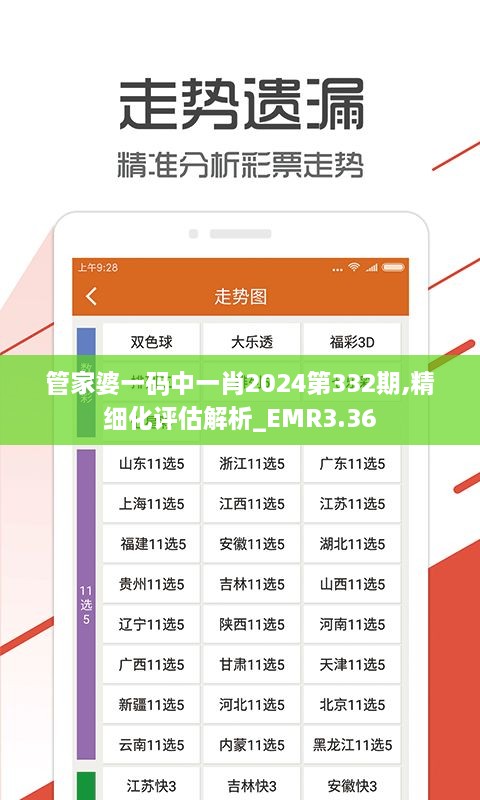 管家婆一码中一肖2024第332期,精细化评估解析_EMR3.36