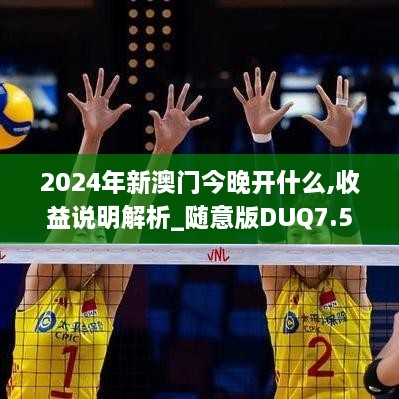 2024年新澳门今晚开什么,收益说明解析_随意版DUQ7.59