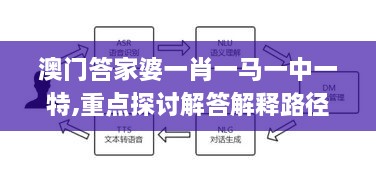 澳门答家婆一肖一马一中一特,重点探讨解答解释路径_可变版ABP4.24