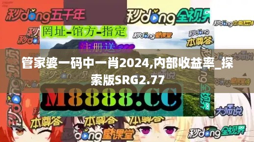 管家婆一码中一肖2024,内部收益率_探索版SRG2.77