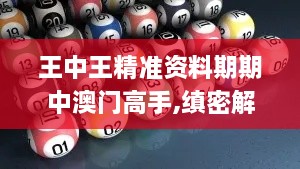 王中王精准资料期期中澳门高手,缜密解答解释落实_定义版GTB8.26