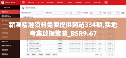 新澳精准资料免费提供网站334期,实地考察数据策略_BSR9.67