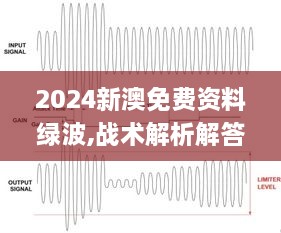 2024新澳免费资料绿波,战术解析解答解释策略_美学版HTZ8.19