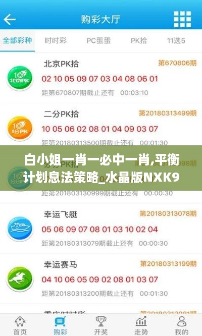 白小姐一肖一必中一肖,平衡计划息法策略_水晶版NXK9.79