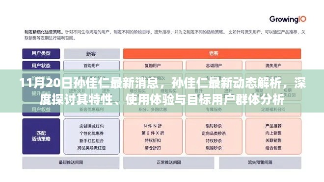 孙佳仁最新动态深度解析，特性、使用体验与目标用户群体分析报告