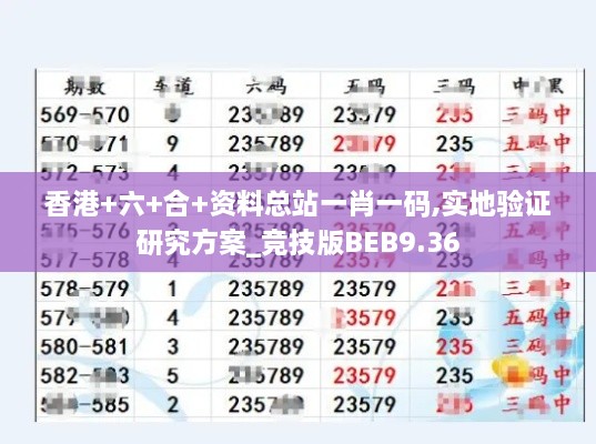 香港+六+合+资料总站一肖一码,实地验证研究方案_竞技版BEB9.36